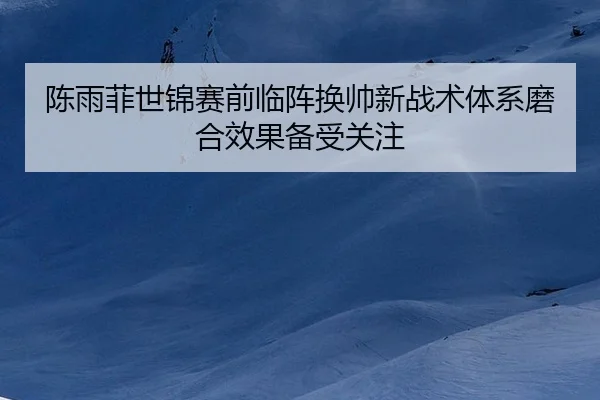 陈雨菲世锦赛前临阵换帅新战术体系磨合效果备受关注